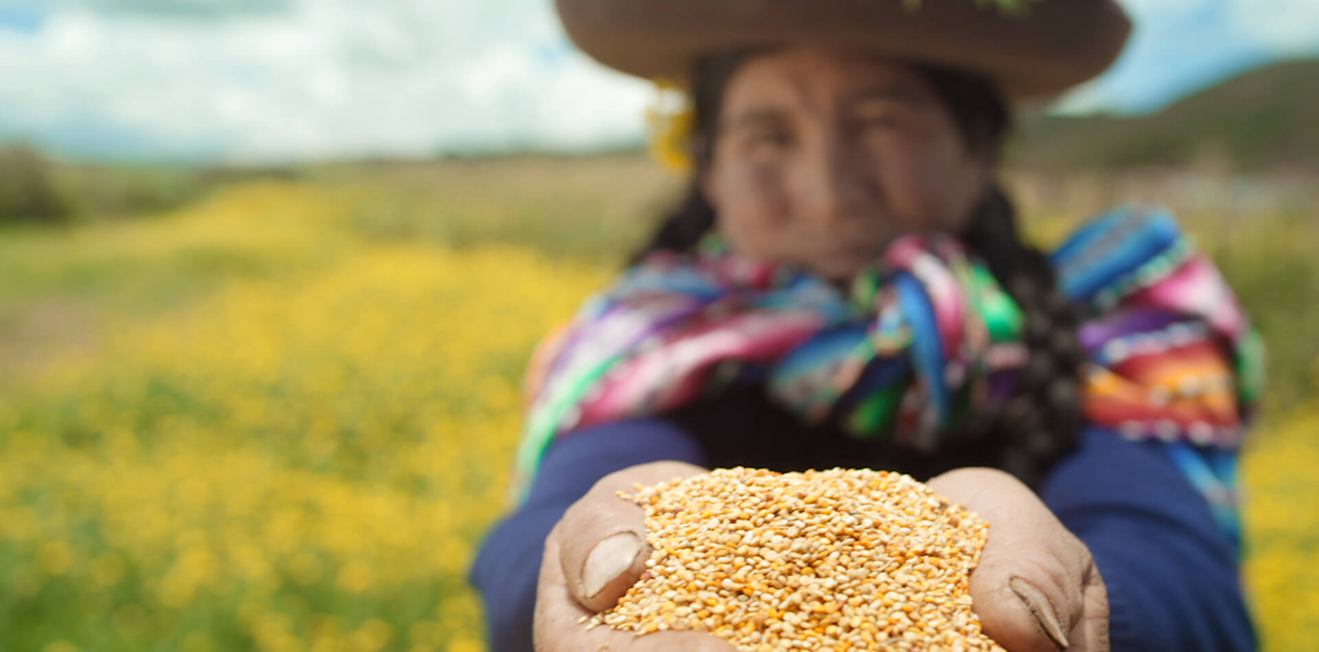 Conoce más de Perú